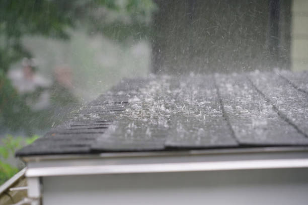 Trusted South Creek, WA Roofing Service Experts